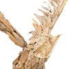 Grote uil
