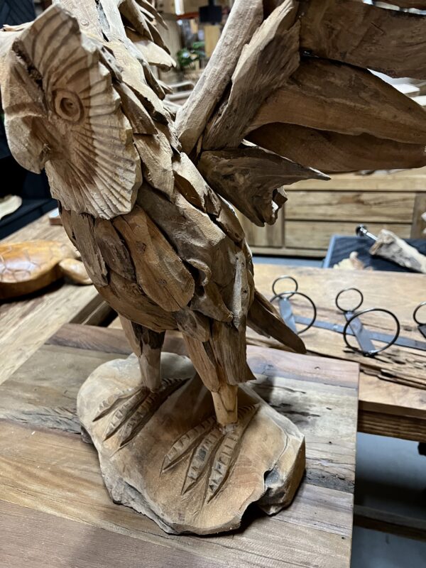 Grote uil