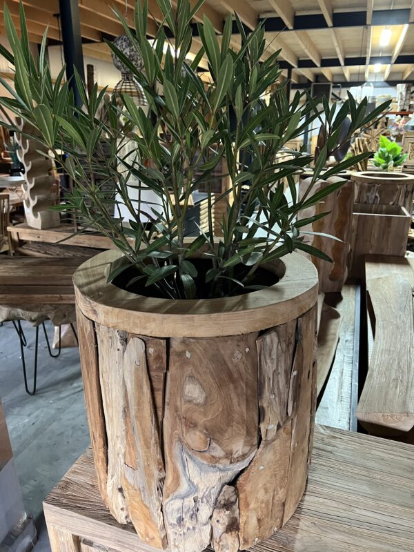 Plantenbak wortelhout